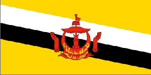 文莱国旗